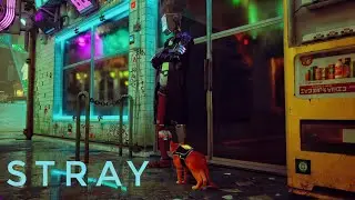 Мидтаун - Stray #5