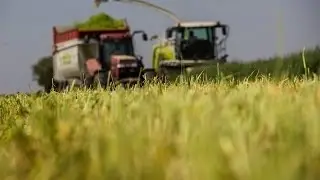 Trinciatura 2015 Claas Jaguar 960
