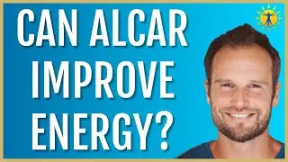 ☀️ Benefits of ALCAR (carnitine) on Energy (2024)
