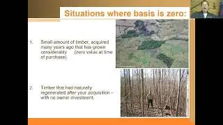 Tax Treatment for Timber Casualty Loss