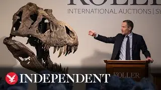 Moment Tyrannosaurus Rex skeleton sold at auction for &pound;4.3 million