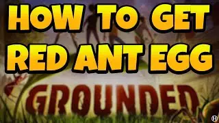 How to Get Red Ant Egg in Grounded