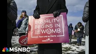 Mary Ziegler: Fetal personhood isn&rsquo;t a new fight&ndash;it is THE fight