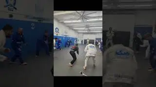 Global Brazilian Jiu-jitsu Naples