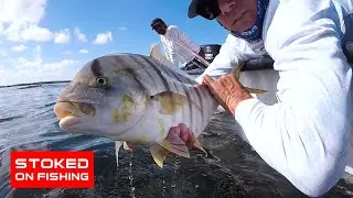 Insane Inshore Fishing in Magdalena Bay