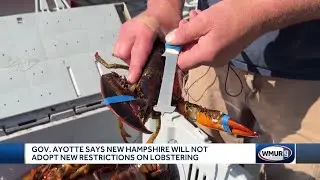 Ayotte says New Hampshire won't comply with new lobster minimum size guidelines