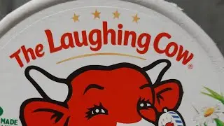 The Laughing Cow Creamy Aged White Cheddar Cheese Review 🧀