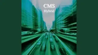 Hybrid