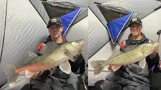 Crushing BIG WALLEYES using IFishPro's- (CATCH CLEAN COOK)