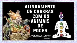 Medita&ccedil;&atilde;o de Alinhamento dos Chakras com os Animais de Poder