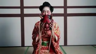 Journey Through Japan: Tradition Meets Modernity