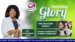 morning glory  - 12/14/2025