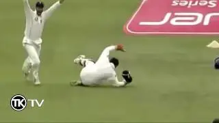 most unexpected catches   accidental catches