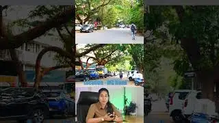 Skyline's Premium Flat For Sale In MG Road Kochi | 📞 8507223344
