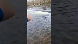 Low head Dam death machine