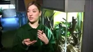 Сотрудники Лондонского зоопарка проводят ежегодную инвентаризацию