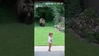 FunnyPets, PetFails, DogVideos, CatVideos, PetCompilation, ViralPets, PetReels, CatsOfYouTube