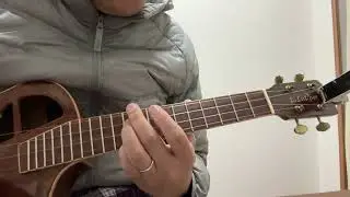 L.Luthier Le Maho w/EQ Tenor