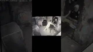 😂 Funniest Haunted House Reactions:👻 #ghost #ghostreaction #hauntedhouse #scary #funny #shorts