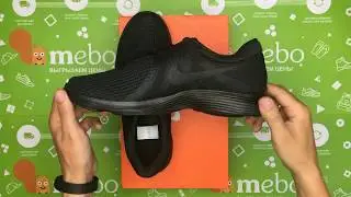 Мужские кроссовки NIKE REVOLUTION 4 EU AJ3490-002