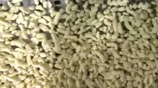 Cheese curds at the Fair