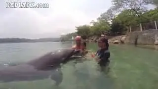 Swim with a Dolphin at Ocean Adventure Park in Subic Bay, Philippines
