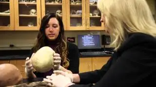 Criminal Justice at York College