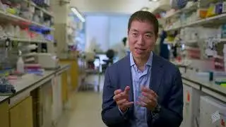 2025 Montrone-Seigel Prize in Biomedical Sciences