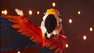 Macaw sings &ldquo;Photograph&rdquo; by Ed Sheeran | The Masked Singer Season 9