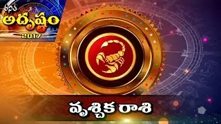 Scorpio 2017 Yearly Horoscope By CVB Subrahmanyam & Sankaramanchi || Vanitha TV