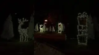 Polar winter festival in Toronto! #christmas2021 #polar #festival #shortsvideo #shorts