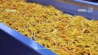 #ZirveExtrusion | LPX400 Türk Tipi Cips Üretim Hattı (500 kg/saat)