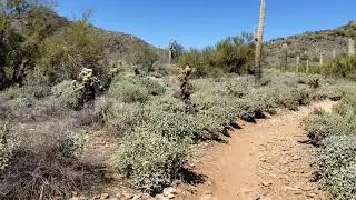 Jasper Trail @ Cave Creek