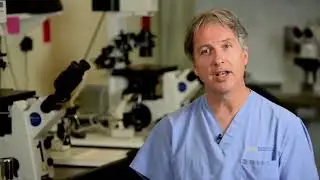 Dr Silverberg Discusses Antral Follicle Counts