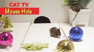🐾 Ultimate Cat Entertainment: Interactive Mice Adventure with Sound! 🐭🔊 😺✨