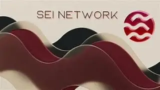 Analisi del sistema Sei Network nel contesto del mercato americano