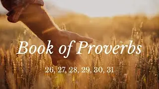 Complete Book of Proverbs | World English Bible | Audiobook | Sounds of Nature