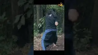 Cecep Arif Rahman Maestro Pencak Silat Martial Art #shorts
