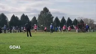 D. Milio Highlights Fall 2024