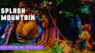 Splash Mountain - Magic Kingdom