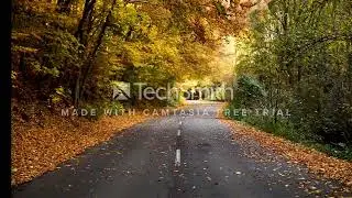 Breeze Audio Player  No copyright