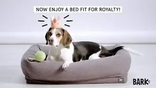 Bark Memory Foam Dog Cuddler Bed + Removable Cover | Best Dog Beds