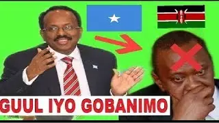 Madaxweyne Farmaajo Oo Kaga Naaxiyay Kenya,, Kala Hadli Mayno Muranka Bada Maxkamada Nakala Saraysa