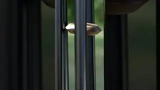 Chimes of Neptune - Black / Teak  #chimes #outdoordecor #gifts #windchime #shorts