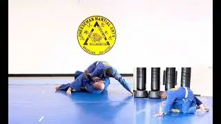 Brazilian Jiu Jitsu Self Defense White Belt Stripe 2 #29 Basic Elbow Escape 2nd Variation
