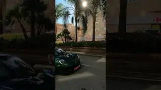 Supercars Lotus Elise 260 CUP