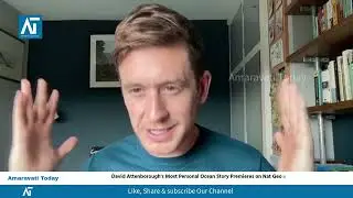 Ocean: David Attenborough&rsquo;s Most Personal Film Yet | Nat Geo 🌊 | Movies | Amaravati Today
