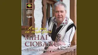 Te-ai dus, tinerete, si imi pare rau