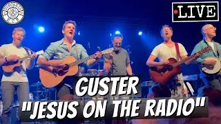 Guster 