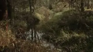 UNESCOMŮŽEŠ [unesco you like] – Třeboň Fishpond Heritage